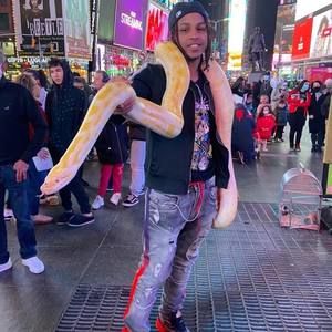 Meet your Posher, Bramder